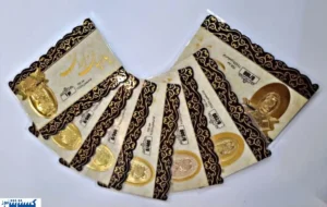 قیمت سکه پارسیان امروز ۶ آبان ۱۴۰۴ اعلام شد + جدول قیمت سکه پارسیان امروز ۶ آبان ۱۴۰۴ اعلام شد + جدول