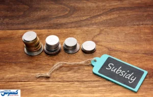 آییننامه جدید یارانهها ابلاغ شد آییننامه جدید یارانهها ابلاغ شد