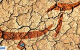 تهرانی ها در انتظار ناجی بزرگ | بحران آب به اوج رسید