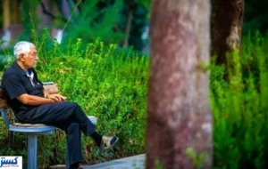 جلسه فوری مجلس و وزارت تعاون برای حل بحران بیمه تکمیلی بازنشستگان جلسه فوری مجلس و وزارت تعاون برای حل بحران بیمه تکمیلی بازنشستگان