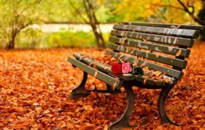 سفر پاییزی ارزان و جذاب در داخل ایران | راهنمای جامع اماکن دلچسب سفر پاییزی ارزان و جذاب در داخل ایران | راهنمای جامع اماکن دلچسب