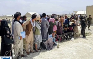 پشت پرده آمار ۸ هزار ویزای کار؛ کارگران افغانستانی بیمه تامین اجتماعی میشوند پشت پرده آمار ۸ هزار ویزای کار؛ کارگران افغانستانی بیمه تامین اجتماعی میشوند