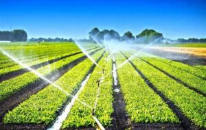 100 میلیون دلار تجهیزات آبیاری محصولات کشاورزی صادر شد 100 میلیون دلار تجهیزات آبیاری محصولات کشاورزی صادر شد