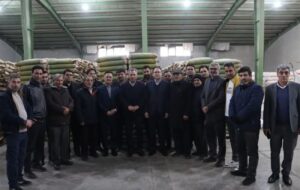 85 درصد نیاز بذر ذرت کشور را تأمین میکنیم 85 درصد نیاز بذر ذرت کشور را تأمین میکنیم