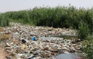 آبیاری گندم و جو با فاضلاب/تقابل اراده مسئولان و منافع مالی سودجویان آبیاری گندم و جو با فاضلاب/تقابل اراده مسئولان و منافع مالی سودجویان