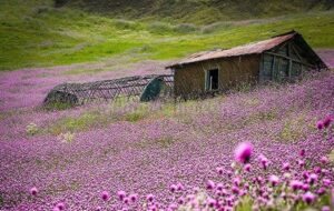 آشنایی با ۲ منطقه بکر ایران / اینجا یک گوشه از بهشت است + عکس آشنایی با ۲ منطقه بکر ایران / اینجا یک گوشه از بهشت است + عکس
