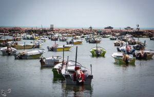 آغاز اجرای پروژههای بهسازی در 17 بندر ماهیگیری کشور آغاز اجرای پروژههای بهسازی در 17 بندر ماهیگیری کشور