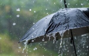 آغاز بارش باران در تهران / پایتخت خنک میشود آغاز بارش باران در تهران / پایتخت خنک میشود