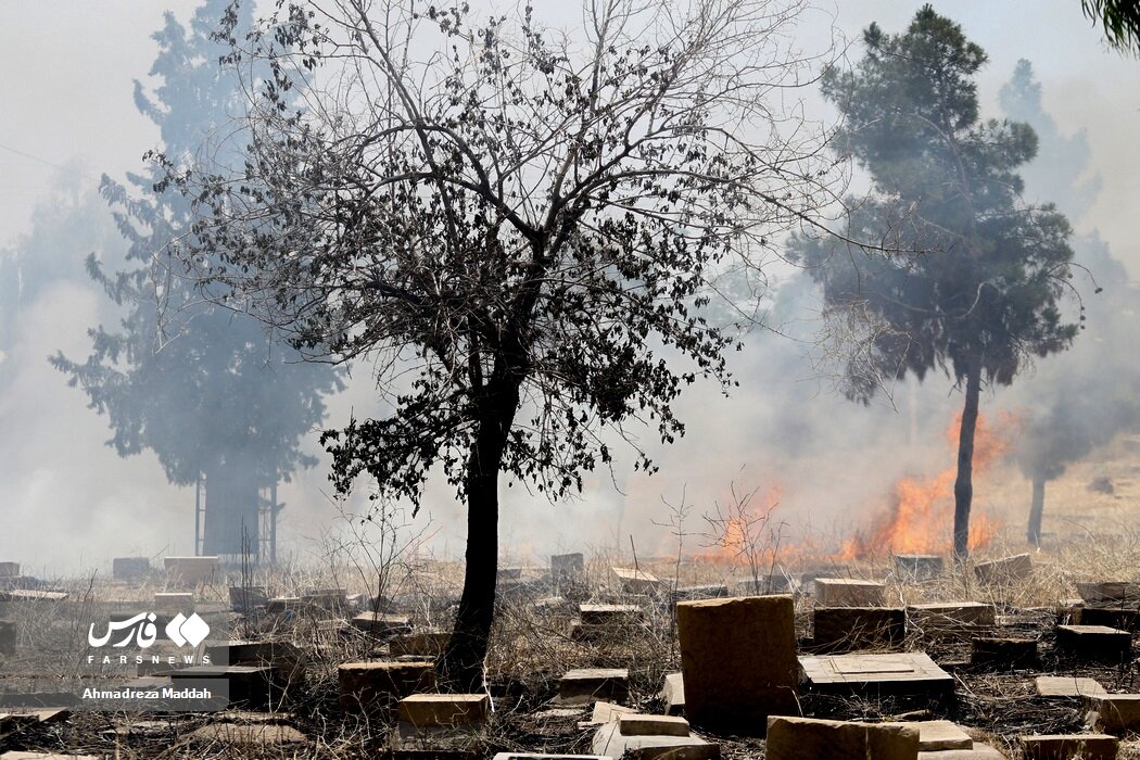 اثر ۱۰۰۰ساله ایران در میان دود و آتش نابود شد! اثر ۱۰۰۰ساله ایران در میان دود و آتش نابود شد!