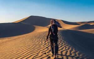 الان زمان مناسبی برای کویرگردی است؟ / قیمت تور کویر در اسفند ۱۴۰۲ + جدول الان زمان مناسبی برای کویرگردی است؟ / قیمت تور کویر در اسفند ۱۴۰۲ + جدول