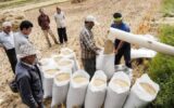 اندازه بازار جهانی ماشین آلات آسیاب برنج تا ۲۰۳۰ | ماشین آلات دست دوم؛ مانع گسترش بازار