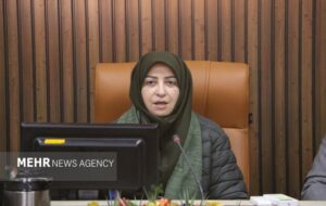 انصاری: ورامین با محدودیت منابع آب و خطر فرونشست روبهرو است انصاری: ورامین با محدودیت منابع آب و خطر فرونشست روبهرو است