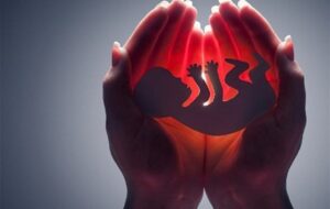 انهدام شبکه سازمانیافته سقط غیرقانونی جنین در سمنان/ متهمان روانه زندان شدند انهدام شبکه سازمانیافته سقط غیرقانونی جنین در سمنان/ متهمان روانه زندان شدند