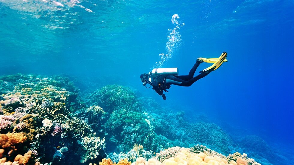 اهمیت گردشگری در اقتصاد مالدیو اهمیت گردشگری در اقتصاد مالدیو