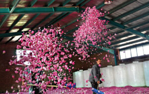 این شهر خوش بوترین نقطه ایران است این شهر خوش بوترین نقطه ایران است