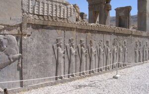 این پرنده عجیب یادگار دوره هخامنشیان است + عکس این پرنده عجیب یادگار دوره هخامنشیان است + عکس