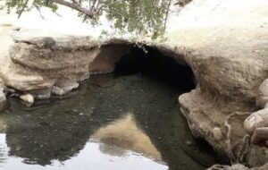 این چشمه «مهمان کُش» است! این چشمه «مهمان کُش» است!