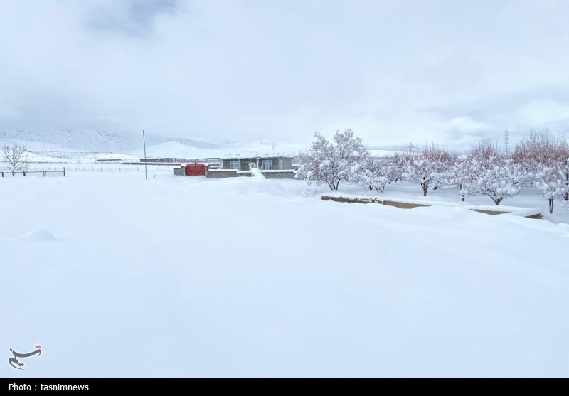 بارش بیسابقه برف در کهگیلویه و بویراحمد+تصاویر اخبار استان کهگیلویه و بویراحمد ,