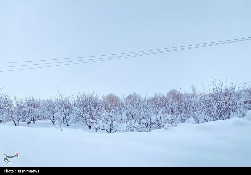 بارش بیسابقه برف در کهگیلویه و بویراحمد+تصاویر اخبار استان کهگیلویه و بویراحمد ,