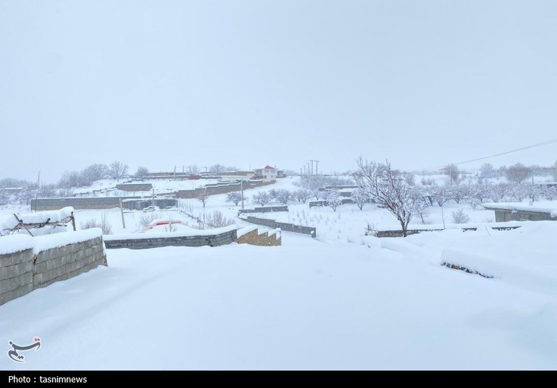 بارش بیسابقه برف در کهگیلویه و بویراحمد+تصاویر اخبار استان کهگیلویه و بویراحمد ,