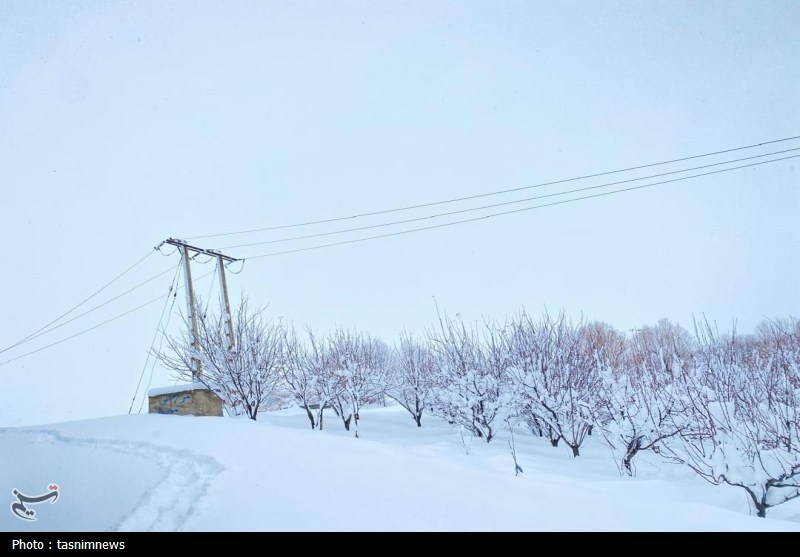 بارش بیسابقه برف در کهگیلویه و بویراحمد+تصاویر اخبار استان کهگیلویه و بویراحمد ,