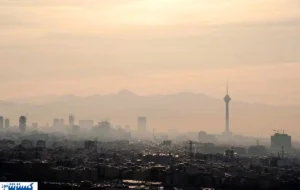 برای خانه خود نفس بخرید ؛ نجات از آلودگی با ۵ گیاه آپارتمانی برای خانه خود نفس بخرید ؛ نجات از آلودگی با ۵ گیاه آپارتمانی