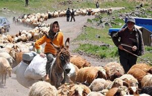 برای دیدن عشایر تهران کجا برویم؟ برای دیدن عشایر تهران کجا برویم؟