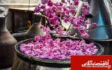 برگزاری جشنواره گلاب‌گیری در کرج/برپایی ۴۰ غرفه در سیاه چادر کرمانشاه