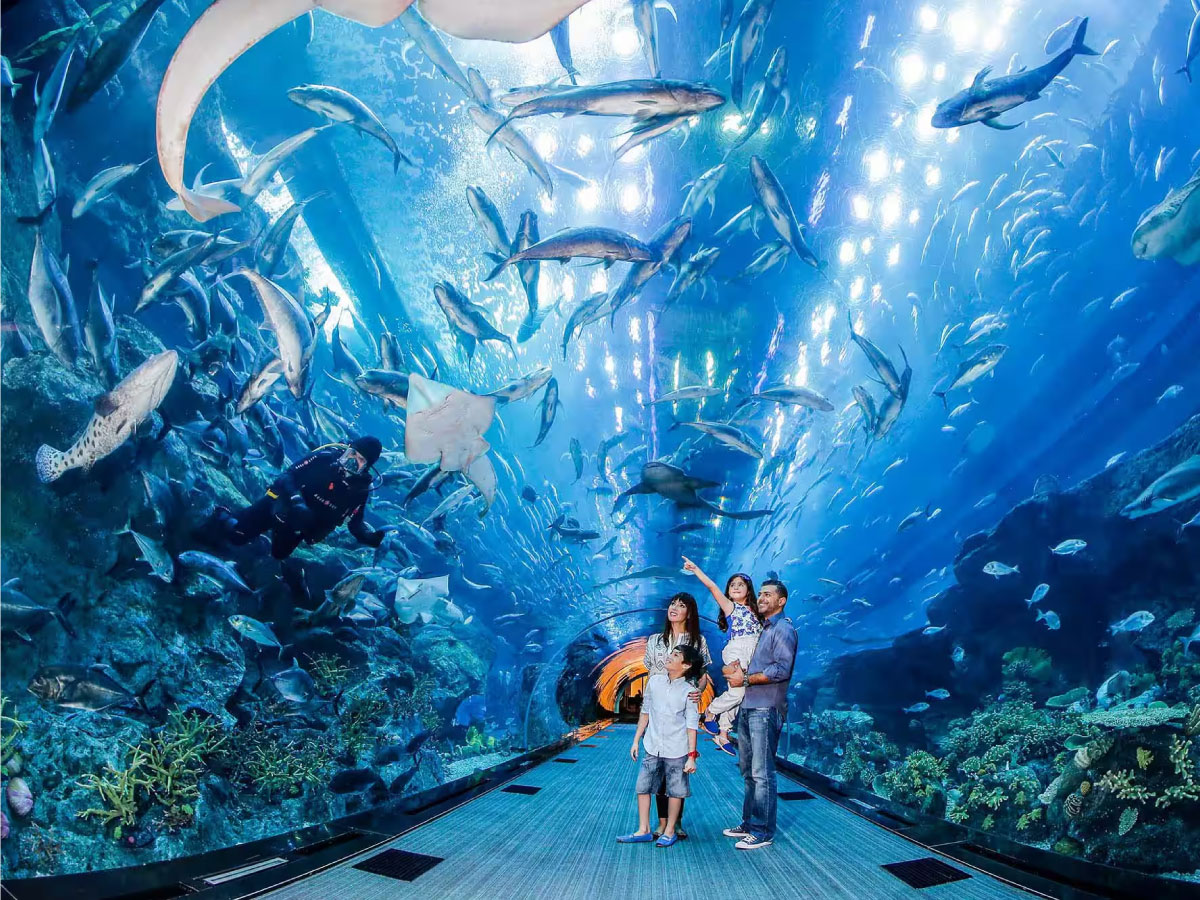 بهترین جاذبههای تفریحی دبی را میشناسید؟ بهترین جاذبههای تفریحی دبی را میشناسید؟