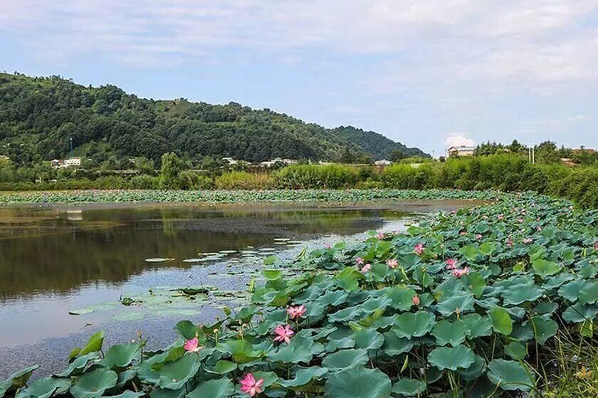 بهترین جاذبههای گردشگری لاهیجان جاذبههای گردشگری عروس گیلان
