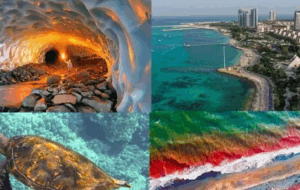 بهترین جزایر ایران برای نوروز ۱۴۰۴ بهترین جزایر ایران برای نوروز ۱۴۰۴