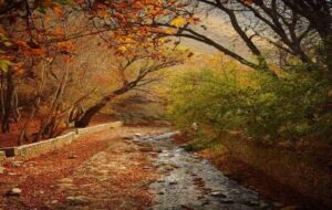 بهترین مناطق کردان برای اجاره ویلا بهترین مناطق کردان برای اجاره ویلا