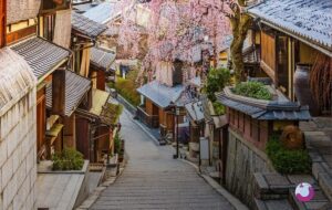 بکرترین مقاصد برای خرید تور نوروز 1404 بکرترین مقاصد برای خرید تور نوروز 1404