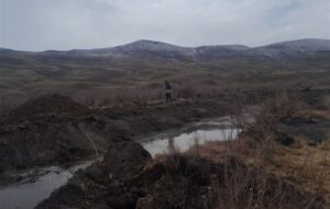 تاراج حیات در قرنقو؛ سکوت محیطزیست هشترود پای تابوت درختان گز تاراج حیات در قرنقو؛ سکوت محیطزیست هشترود پای تابوت درختان گز