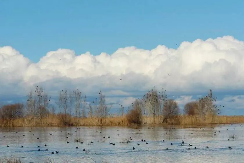 تالاب ناور کجاست؟ تالاب ناور کجاست؟