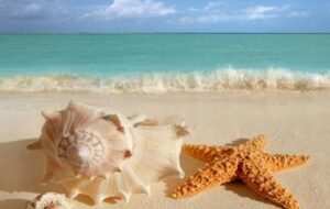 تجربه سفر نورزی با قطار به قشم چقدر هزینه دارد؟ + جدول تجربه سفر نورزی با قطار به قشم چقدر هزینه دارد؟ + جدول