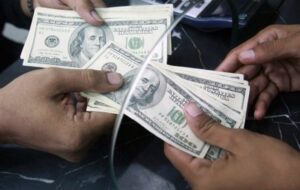 تشکیل پرونده قضایی برای اخلال گران ارز و نهاده های دامی تشکیل پرونده قضایی برای اخلال گران ارز و نهاده های دامی