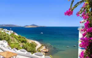 تور آلانیا چند؟ ( جدول) تور آلانیا چند؟ ( جدول)