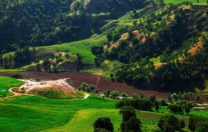 تور گردشگری شمال چند میلیون تومان شد؟ + جدول تور گردشگری شمال چند میلیون تومان شد؟ + جدول