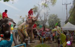 تورهای تایلند مناسب برای بازدید از جشن کریسمس 2025 تورهای تایلند مناسب برای بازدید از جشن کریسمس 2025