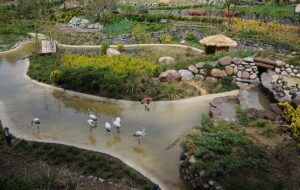 جاذبه های تفریحی تهران مخصوص کودکان جاذبه های تفریحی تهران مخصوص کودکان 