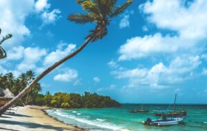 جاذبههای دیدنی تانزانیا جاذبههای دیدنی تانزانیا