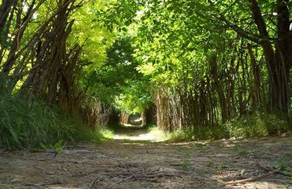 جاذبههای تاریخی ایلام/ جاذبههای طبیعی بینظیر استان جاذبههای تاریخی ایلام/ جاذبههای طبیعی بینظیر استان