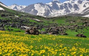 جاهای دیدنی سرعین / ۲۰ جاذبه گردشگری سرعین را بشناسید جاهای دیدنی سرعین / ۲۰ جاذبه گردشگری سرعین را بشناسید