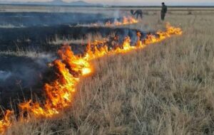 جزئیات مهار آتشسوزی در پارک ملی دریاچه ارومیه جزئیات مهار آتشسوزی در پارک ملی دریاچه ارومیه