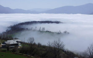 جنگل ابر شاهرود، جنگلی با چهل میلیون سال قدمت + عکس و مسیر دسترسی جنگل ابر شاهرود، جنگلی با چهل میلیون سال قدمت + عکس و مسیر دسترسی