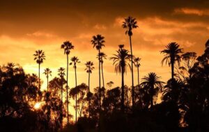 خبر خوش برای خوزستانیها خبر خوش برای خوزستانیها