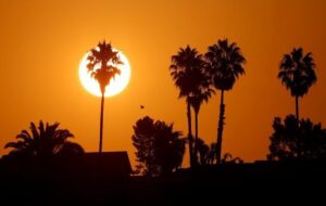 خوزستان شرجی میشود خوزستان شرجی میشود