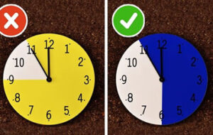 دانستنی های سفر / چطور در هواپیما راحت بخوابیم؟ دانستنی های سفر / چطور در هواپیما راحت بخوابیم؟