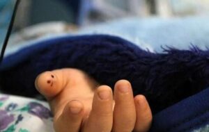 دختر ۳.۵ ساله اهوازی با گلوله کشته شد دختر ۳.۵ ساله اهوازی با گلوله کشته شد